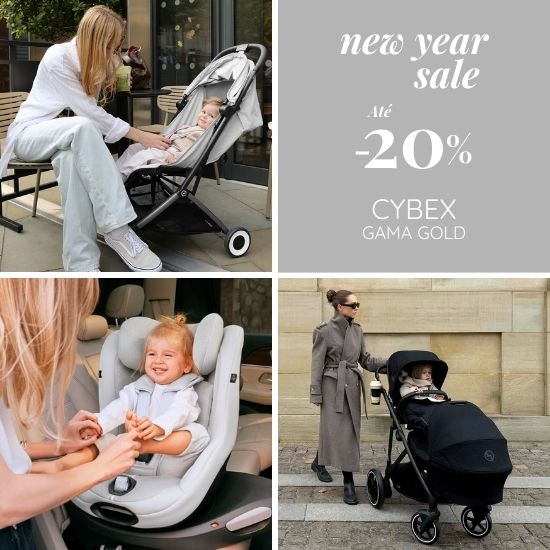 CARRINHOS E CADEIRAS AUTO