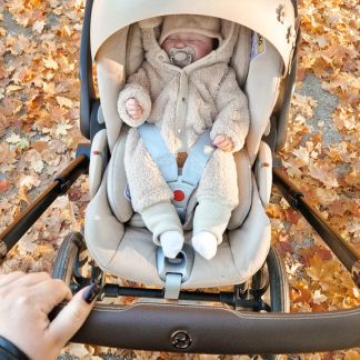 cybex lovers 5
