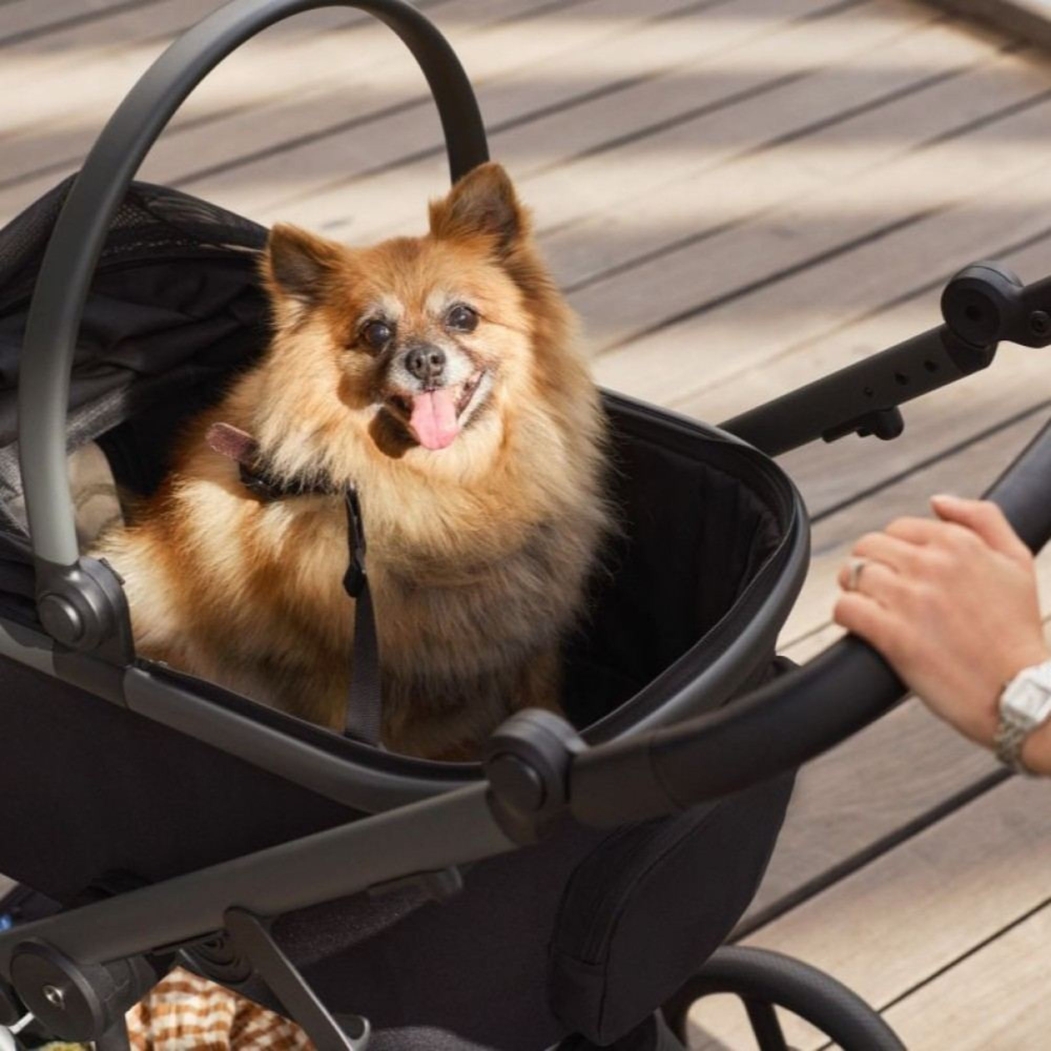 Alcofa Animal Estimação para Carrinho Anex Modu - Anex - MDP-01