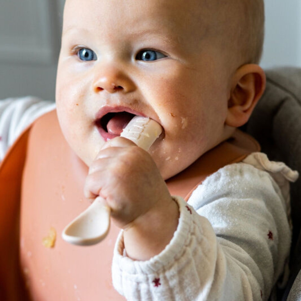 Conjunto Colheres 1ª Idade Béaba em Silicone com Caixa de Transporte - Béaba - 3384349135997