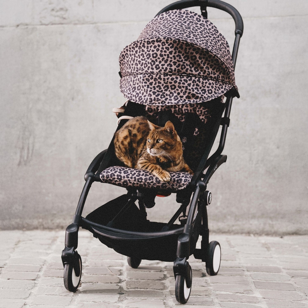 Carrinho de Bebé YOYO Black Stokke com Color Pack Leopard 6+ - Stokke - PACKYOYO010-001