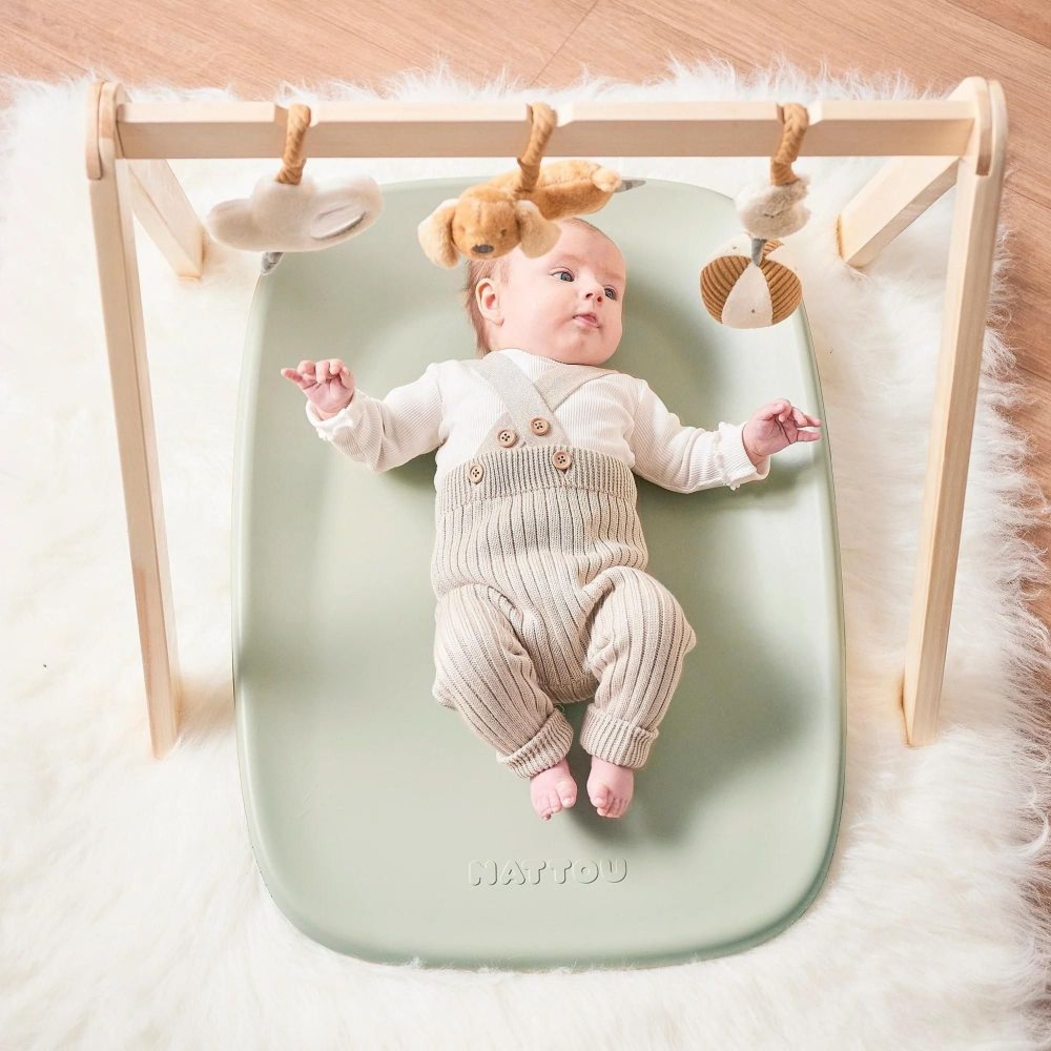 Muda-Fraldas Nattou Softy - Nattou - 5414673145053