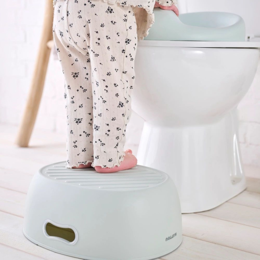 Pote 3 em 1 Nattou Potty - Nattou - 5414673155007