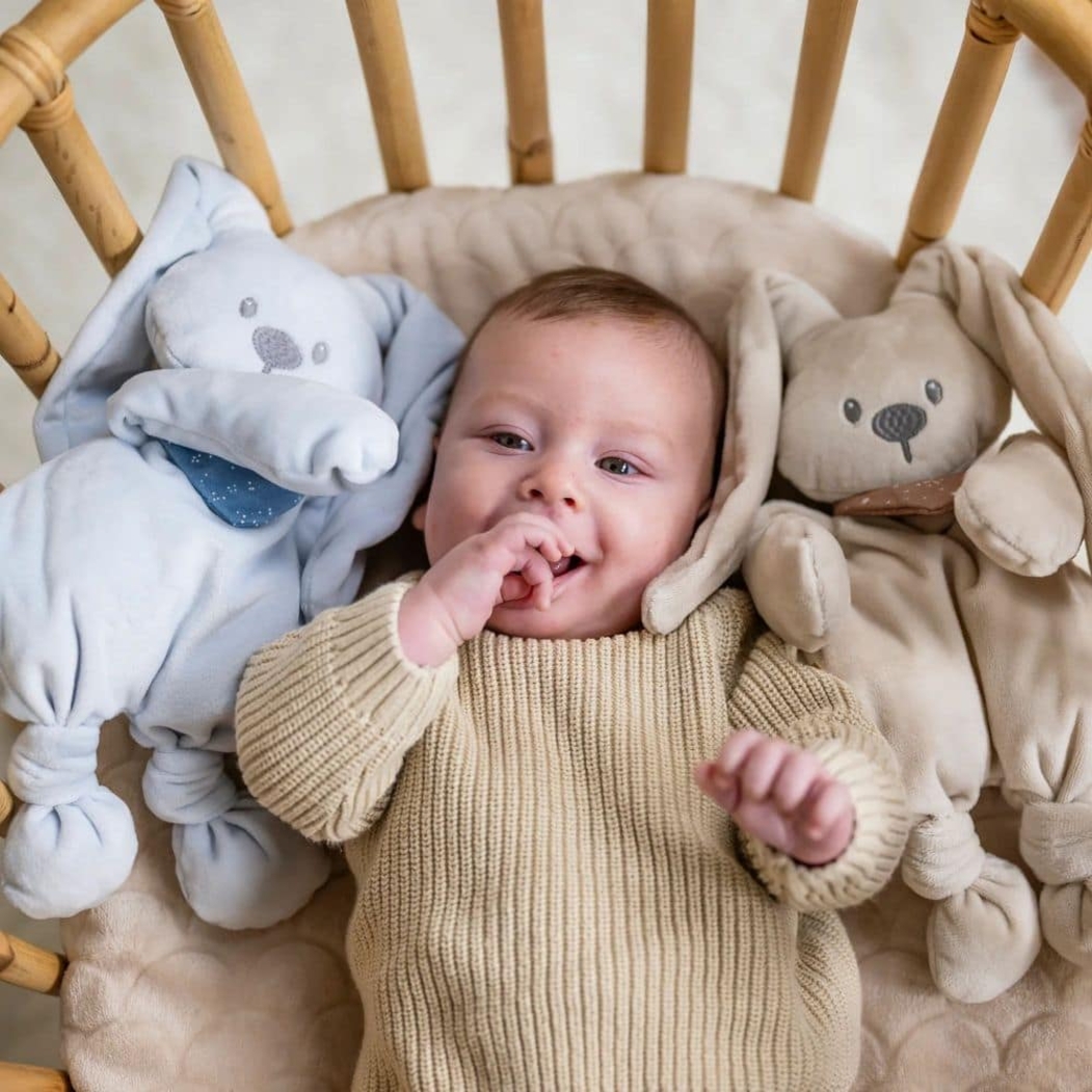 Peluche Nattou Lapidou Coelho com Lenço - Nattou - 5414673875691