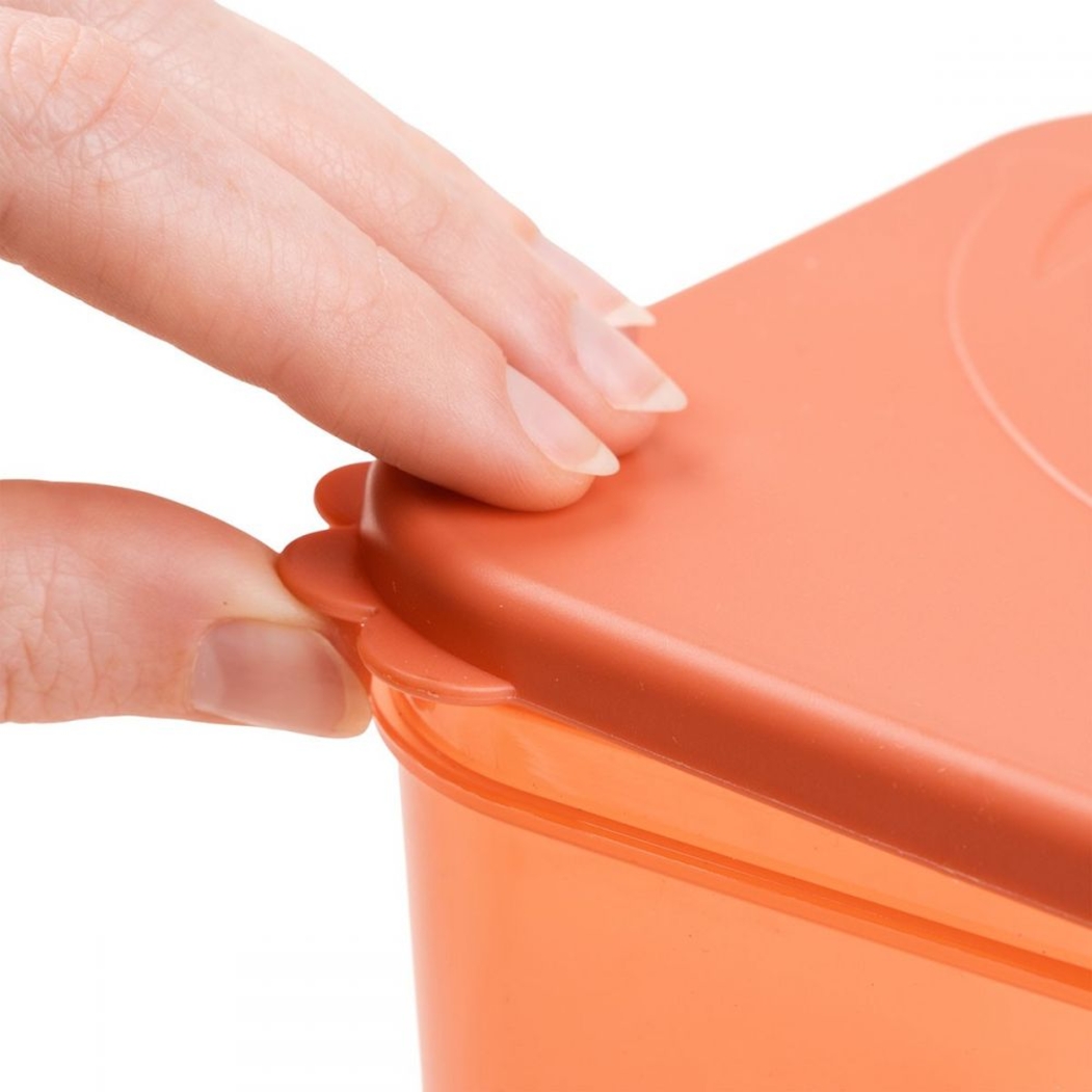 Conjunto Recipientes para alimentos Done by Deer - Done By Deer - 5712643045007