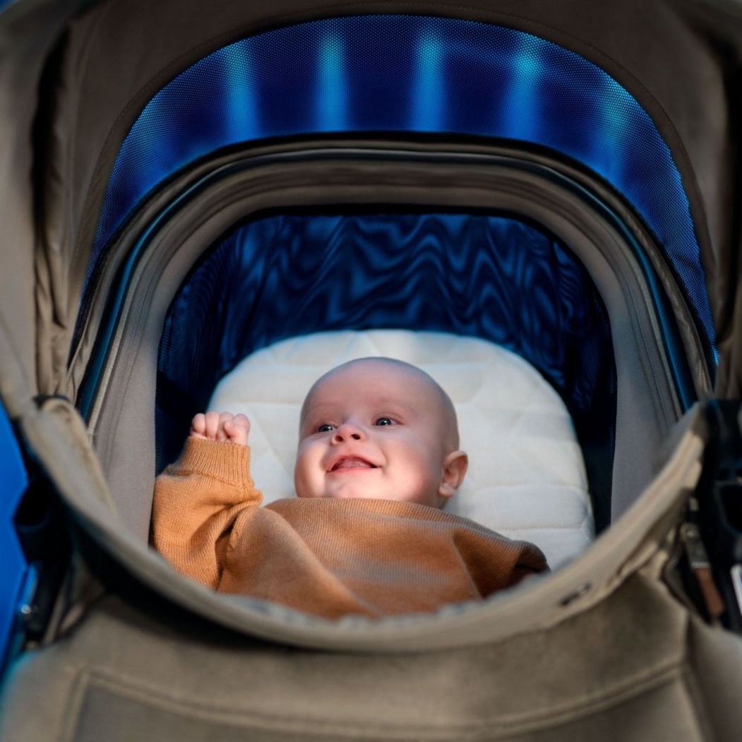 Alcofa Maxi-Cosi Fame - Maxi-Cosi - 3220660008421