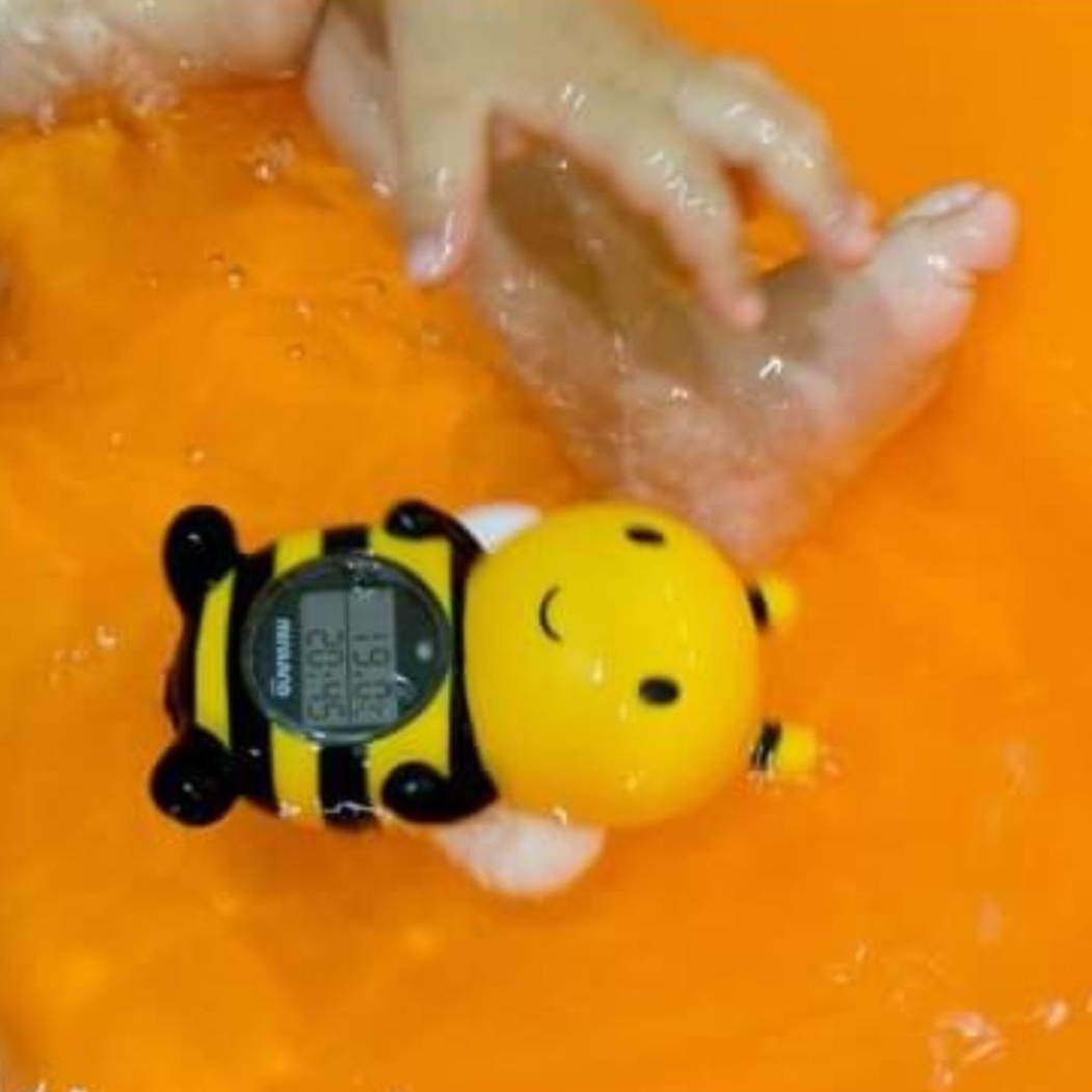 Termómetro Miniland Abelhinha para Banho e Ambiente - Miniland - 8413082890612