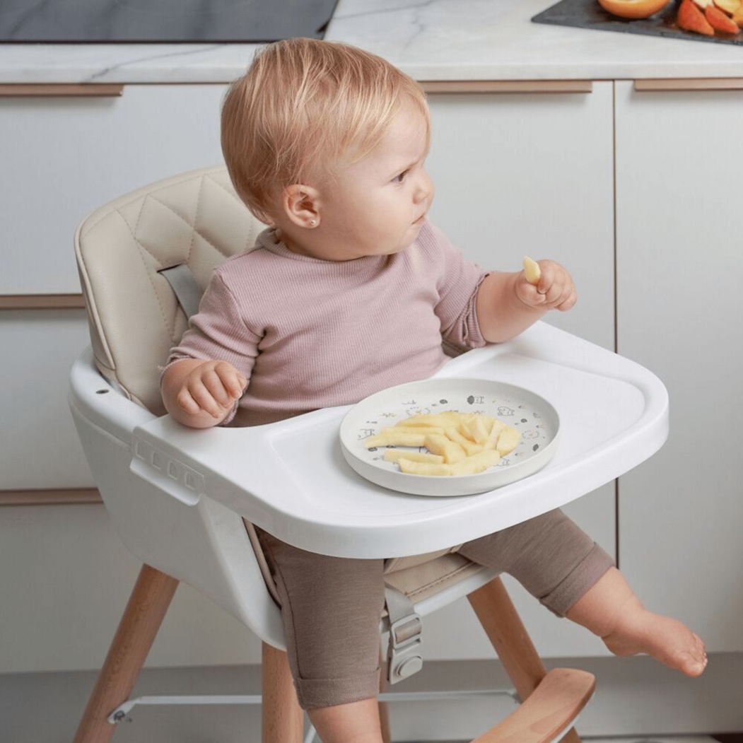 Conjunto Refeições Miniland Naturmeal Miniland Frog - Miniland - 8413082894559