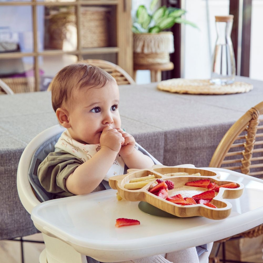 Prato Wooden Miniland Frog - Miniland - 8413082894726