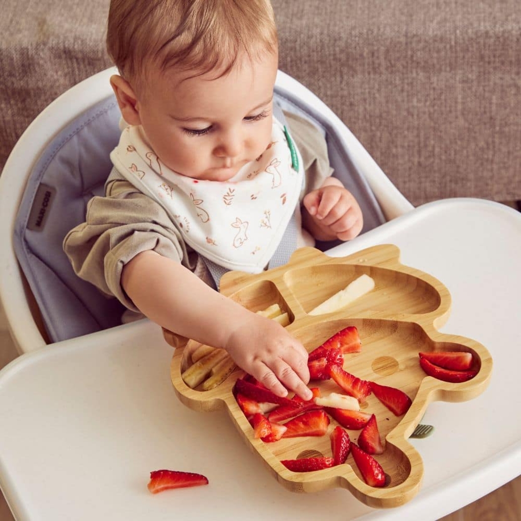 Prato Wooden Miniland Frog - Miniland - 8413082894726