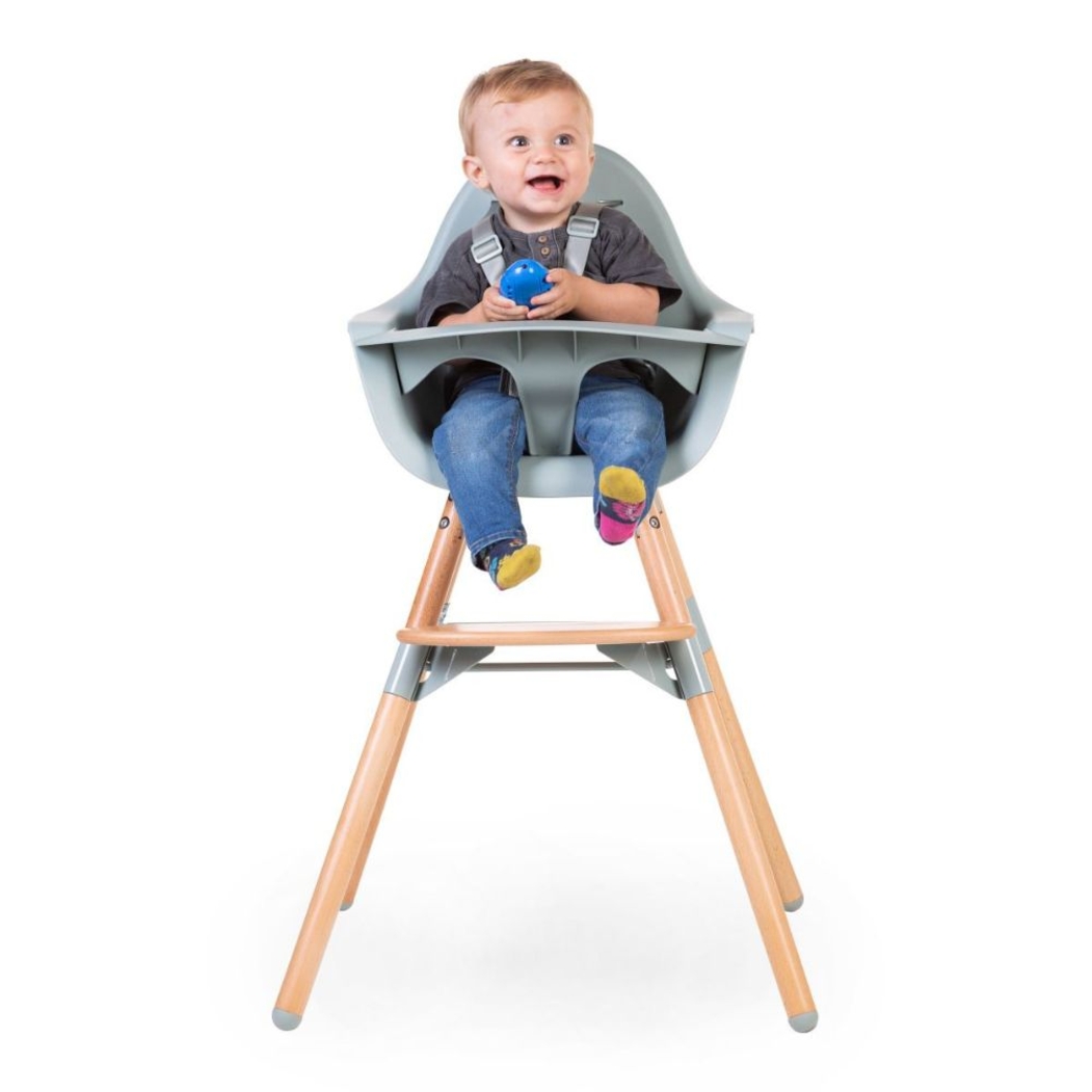 Cadeira de Papa Childhome Evolu 2 - Childhome - 5420007162658