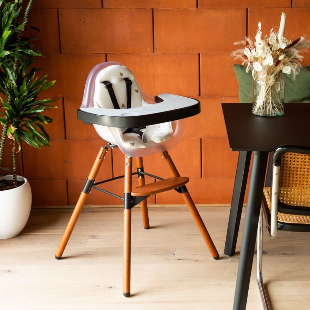 Redutor Cadeira Papa Childhome Evolu 2 - Childhome - 5420007159917