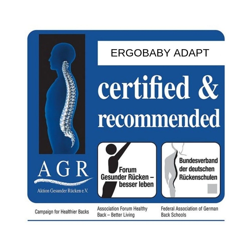 Porta-Bebés Ergobaby Adapt Soft Flex Mesh Slate Blue - Ergobaby - 1220000204027