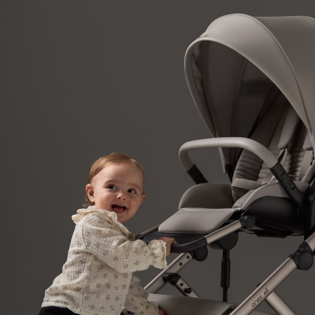 Carrinho de Bebé Duo Anex Eli - Anex - EL-06