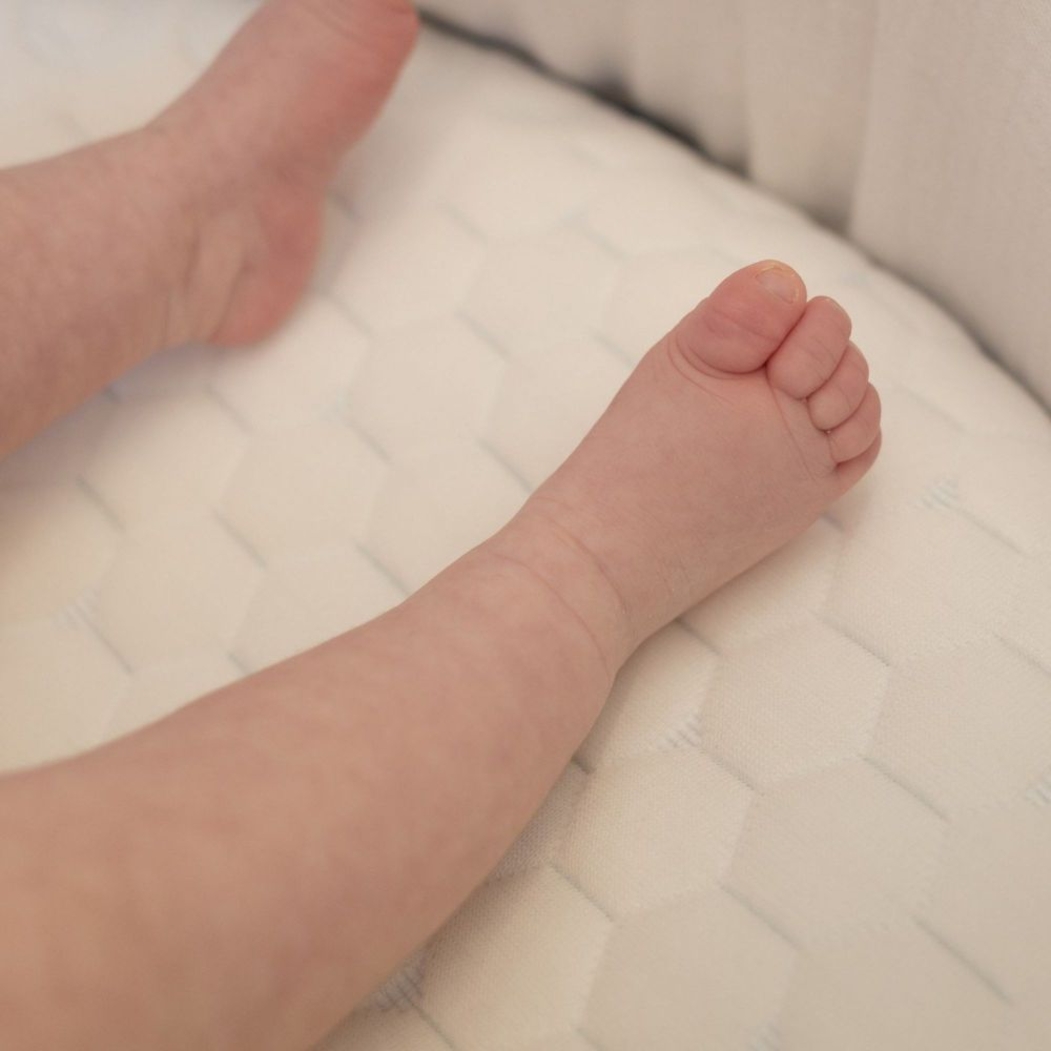 Colchão para Alcofa Ecus Kids Mimo Peti - Ecus Kids - 8433905524661