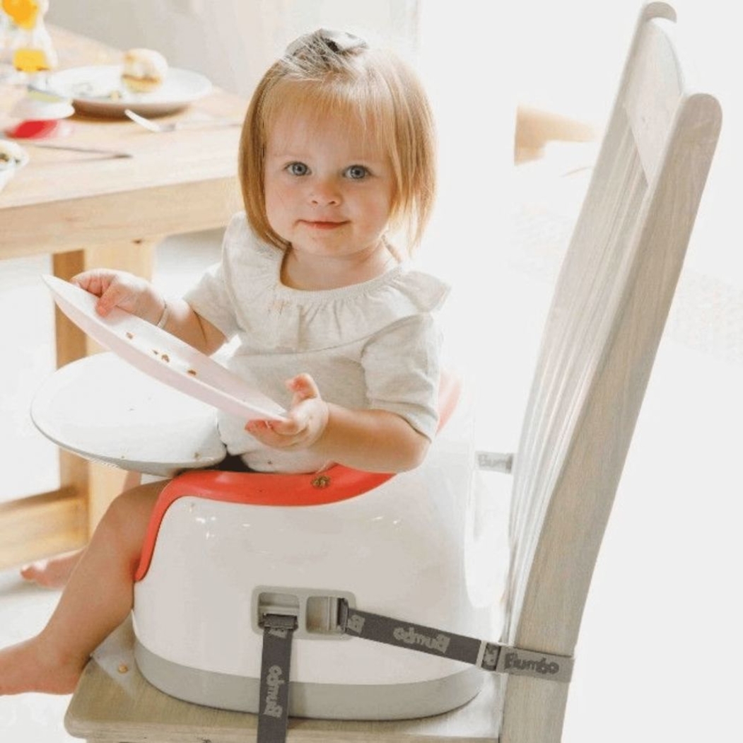 Assento Evolutivo Bumbo Multi Seat 6-36m - Bumbo - 6009662502727